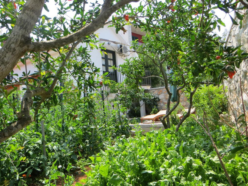 Holiday Home Artina 2 Lovište Dış mekan fotoğraf